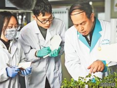 點燃高質量發展新引擎