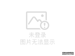 如何高效使用加速器提升网络速度？必读指南